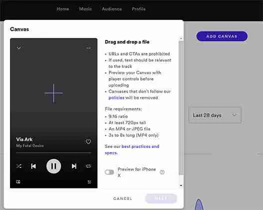 spotify canvas requirements